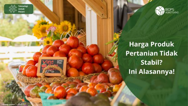 Harga Produk Pertanian Tidak Stabil Ini Alasannya!