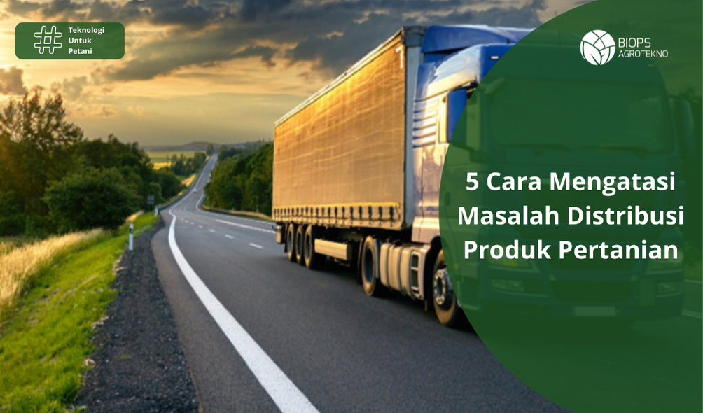 5 Cara Mengatasi Masalah Distribusi Produk Pertanian